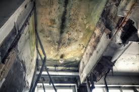 Mold Remediation for Rental Properties